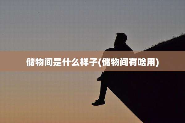 储物间是什么样子(储物间有啥用)