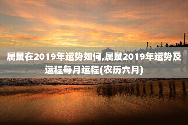 属鼠在2019年运势如何,属鼠2019年运势及运程每月运程(农历六月)