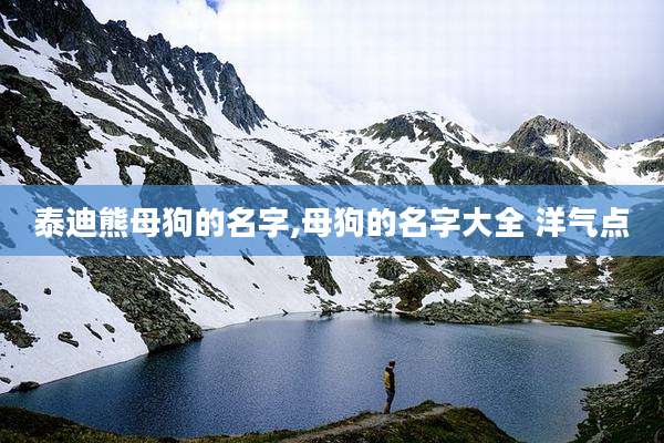 泰迪熊母狗的名字,母狗的名字大全 洋气点