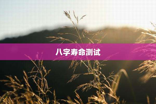 八字寿命测试