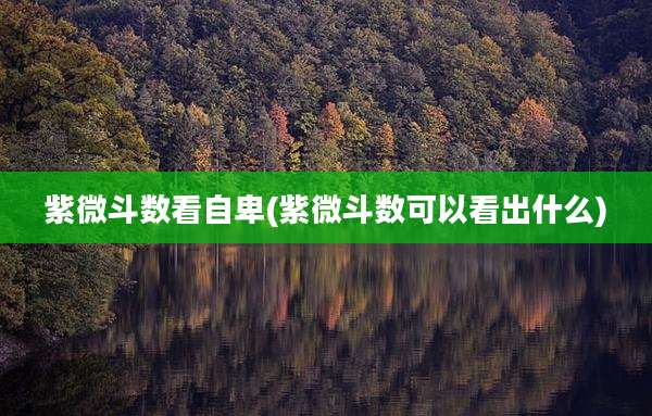 紫微斗数看自卑(紫微斗数可以看出什么)