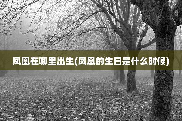 凤凰在哪里出生(凤凰的生日是什么时候)