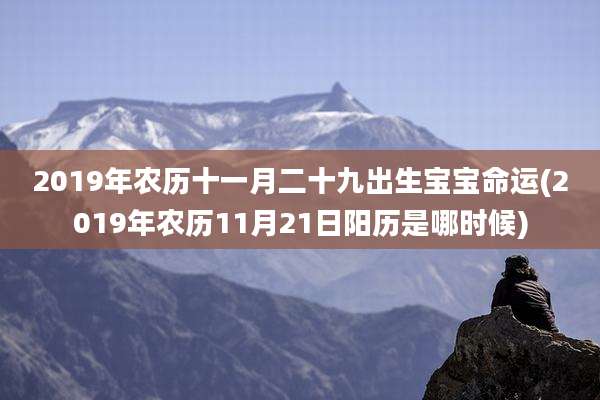 2019年农历十一月二十九出生宝宝命运(2019年农历11月21日阳历是哪时候)