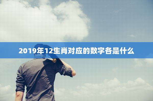 2019年12生肖对应的数字各是什么