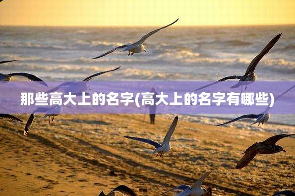 那些高大上的名字(高大上的名字有哪些)