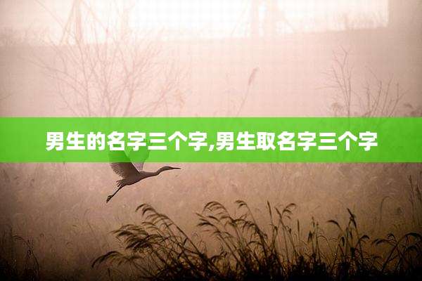 男生的名字三个字,男生取名字三个字