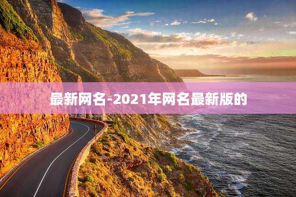 最新网名-2021年网名最新版的