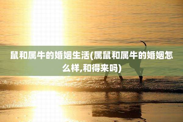 鼠和属牛的婚姻生活(属鼠和属牛的婚姻怎么样,和得来吗)