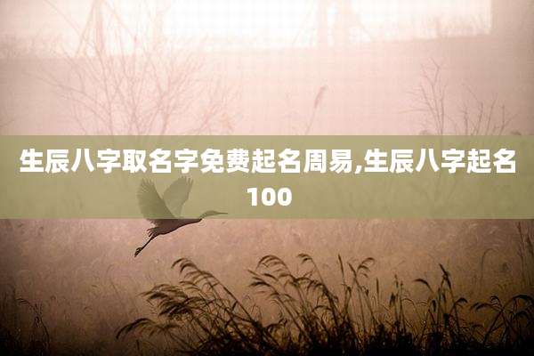 生辰八字取名字免费起名周易,生辰八字起名100
