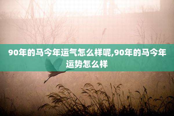 90年的马今年运气怎么样呢,90年的马今年运势怎么样