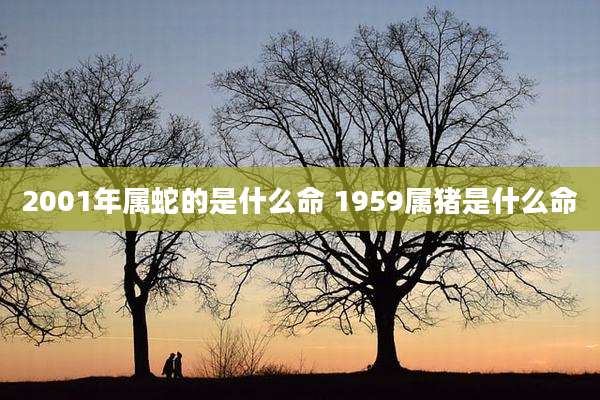 2001年属蛇的是什么命 1959属猪是什么命