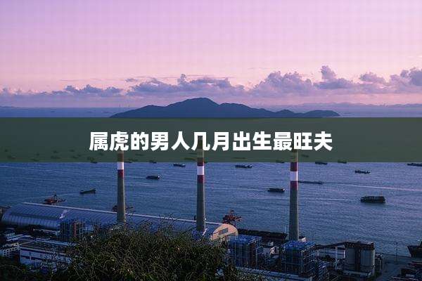 属虎的男人几月出生最旺夫