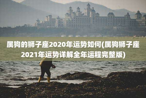 属狗的狮子座2020年运势如何(属狗狮子座2021年运势详解全年运程完整版)