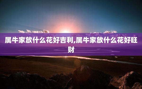 属牛家放什么花好吉利,属牛家放什么花好旺财