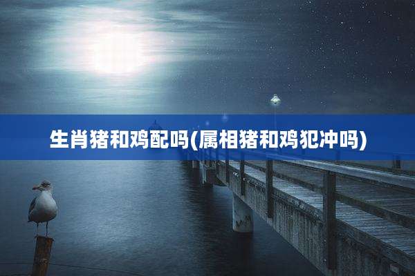 生肖猪和鸡配吗(属相猪和鸡犯冲吗)
