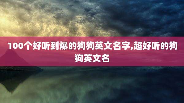100个好听到爆的狗狗英文名字,超好听的狗狗英文名