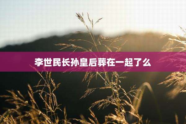 李世民长孙皇后葬在一起了么