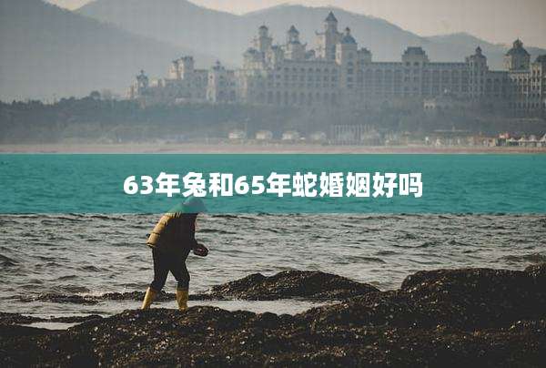 63年兔和65年蛇婚姻好吗