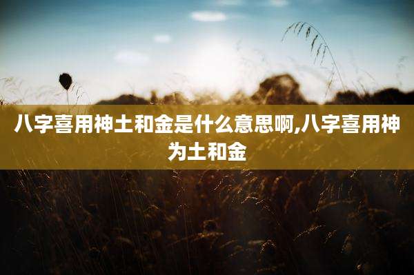 八字喜用神土和金是什么意思啊,八字喜用神为土和金