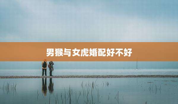 男猴与女虎婚配好不好