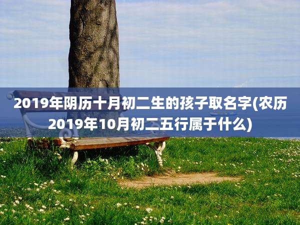 2019年阴历十月初二生的孩子取名字(农历2019年10月初二五行属于什么)