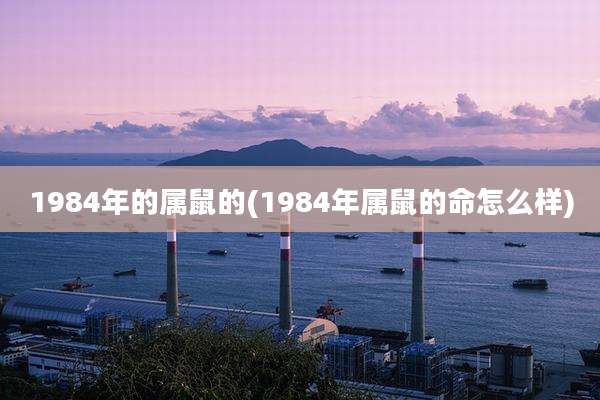 1984年的属鼠的(1984年属鼠的命怎么样)