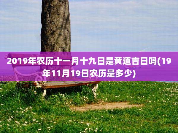 2019年农历十一月十九日是黄道吉日吗(19年11月19日农历是多少)