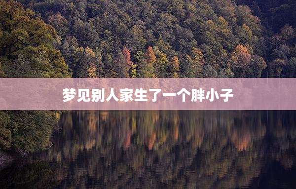 梦见别人家生了一个胖小子