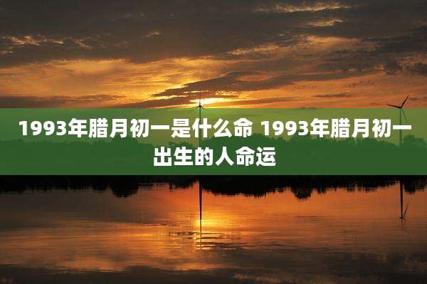 1993年腊月初一是什么命 1993年腊月初一出生的人命运