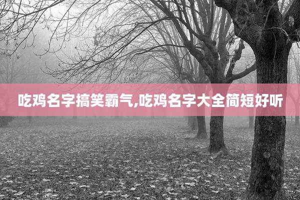 吃鸡名字搞笑霸气,吃鸡名字大全简短好听