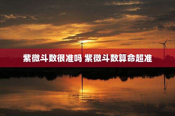 紫微斗数很准吗 紫微斗数算命超准