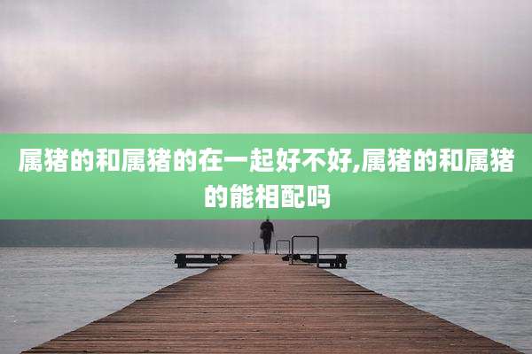 属猪的和属猪的在一起好不好,属猪的和属猪的能相配吗