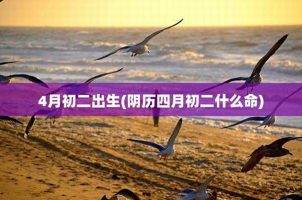 4月初二出生(阴历四月初二什么命)