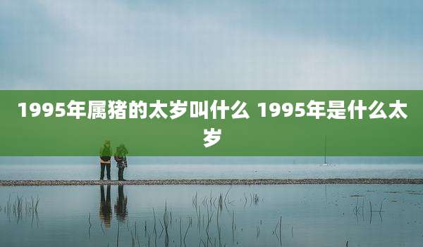 1995年属猪的太岁叫什么 1995年是什么太岁
