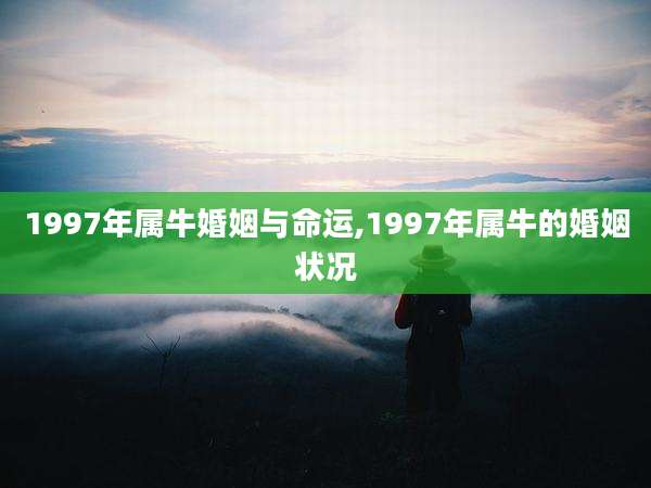 1997年属牛婚姻与命运,1997年属牛的婚姻状况