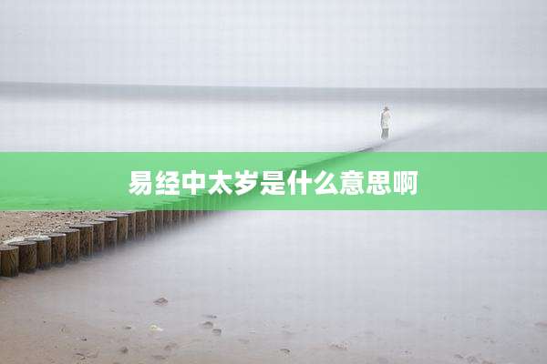 易经中太岁是什么意思啊