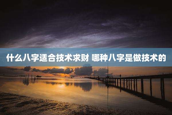 什么八字适合技术求财 哪种八字是做技术的