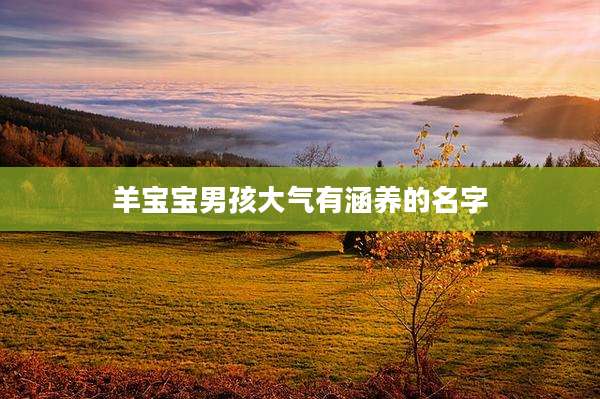 羊宝宝男孩大气有涵养的名字