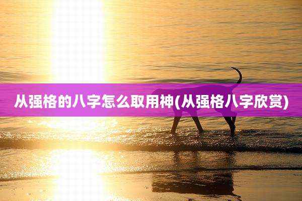从强格的八字怎么取用神(从强格八字欣赏)