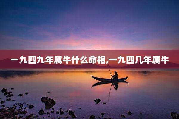 一九四九年属牛什么命相,一九四几年属牛