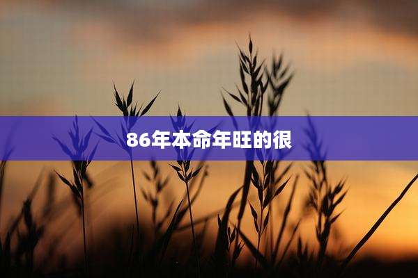 86年本命年旺的很