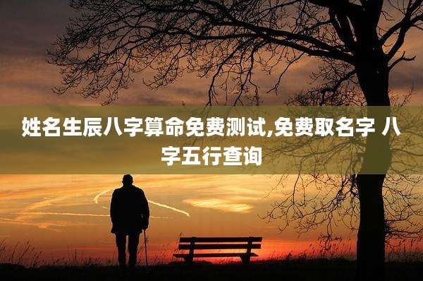 姓名生辰八字算命免费测试,免费取名字 八字五行查询