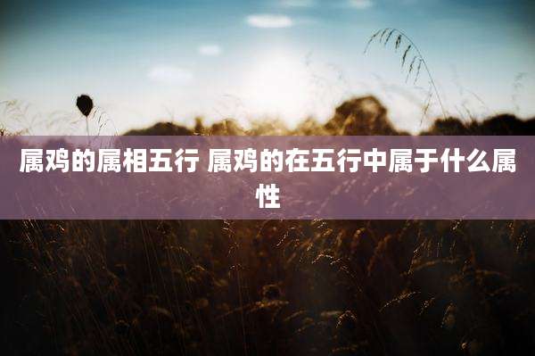 属鸡的属相五行 属鸡的在五行中属于什么属性