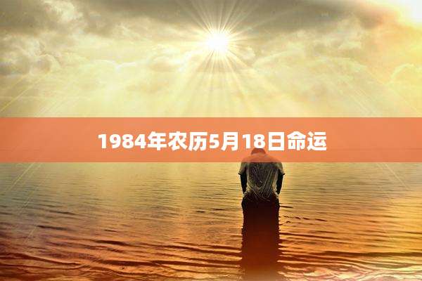 1984年农历5月18日命运
