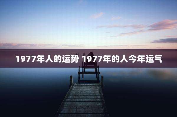 1977年人的运势 1977年的人今年运气