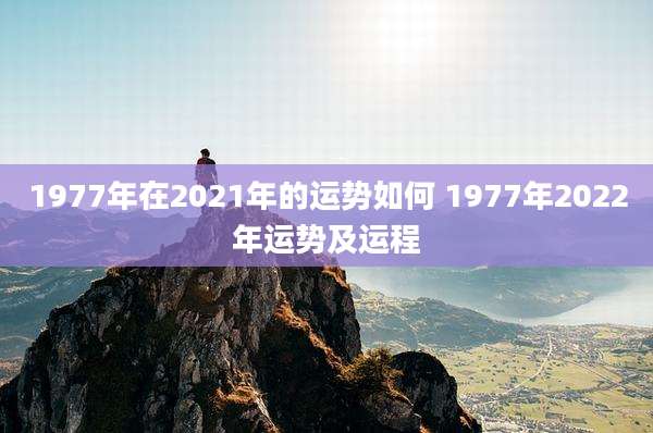 1977年在2021年的运势如何 1977年2022年运势及运程