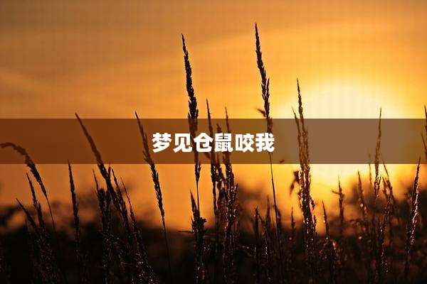梦见仓鼠咬我