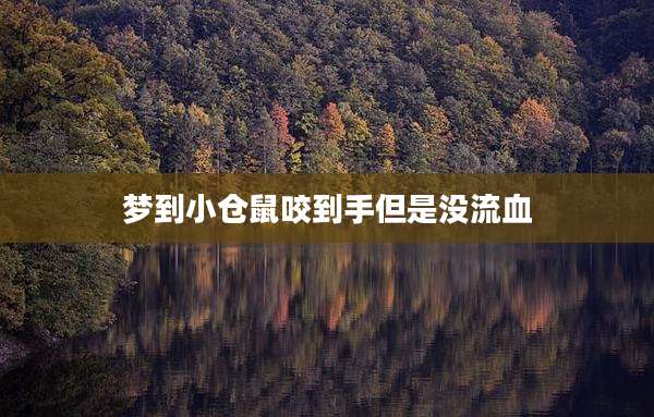 梦到小仓鼠咬到手但是没流血