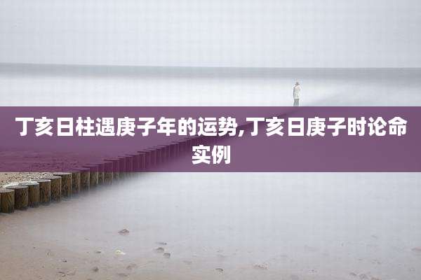 丁亥日柱遇庚子年的运势,丁亥日庚子时论命实例