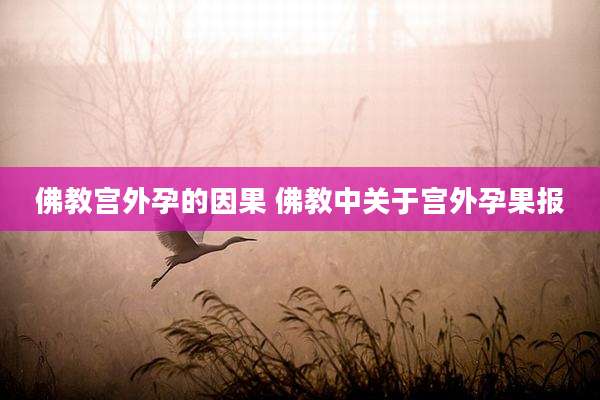 佛教宫外孕的因果 佛教中关于宫外孕果报